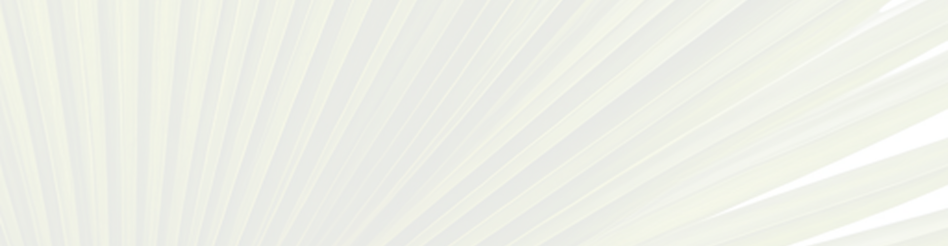 Palm leaves background with filtered sunlight